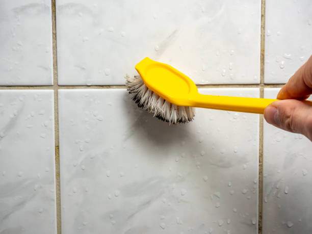 Best Residential Mold Removal  in Hughson, CA