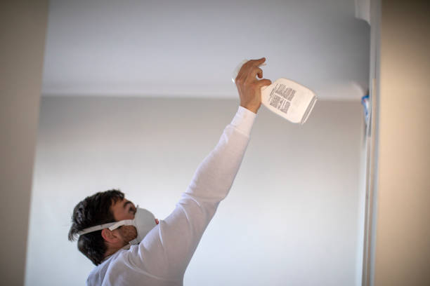 Best Toxic Mold Removal  in Hughson, CA