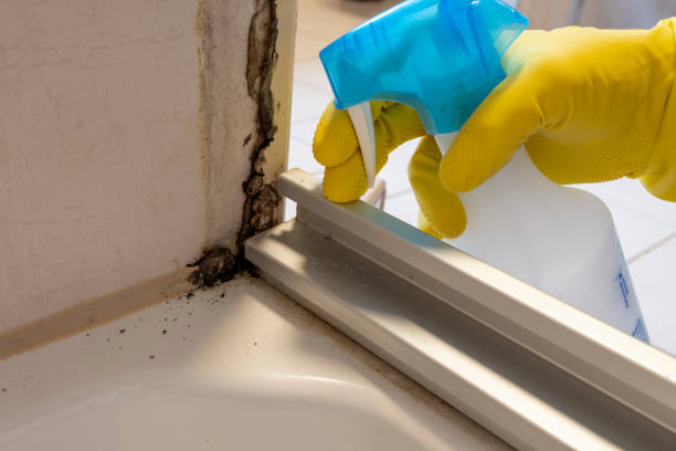Best Local Mold Removal Service  in Hughson, CA
