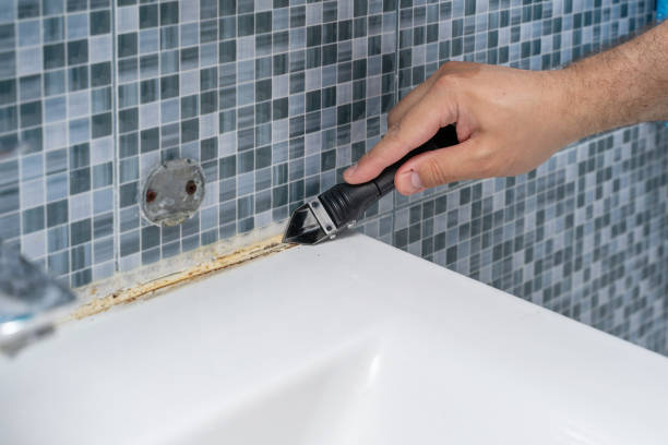 Best Mold Remediation  in Hughson, CA