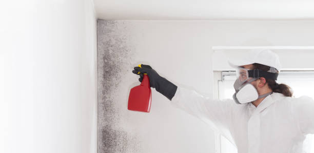 Best Mold Cleaning Services  in Hughson, CA