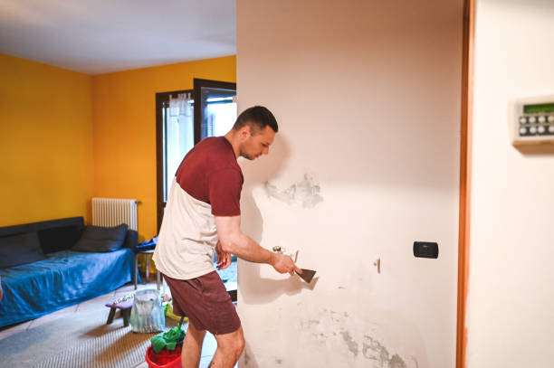 Best Emergency Mold Removal  in Hughson, CA