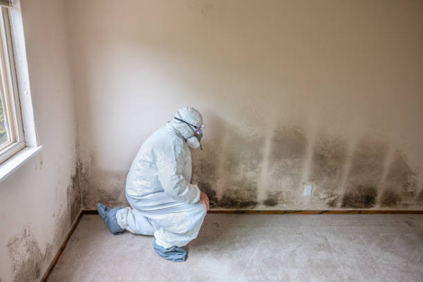 Best Crawl Space Mold Removal  in Hughson, CA