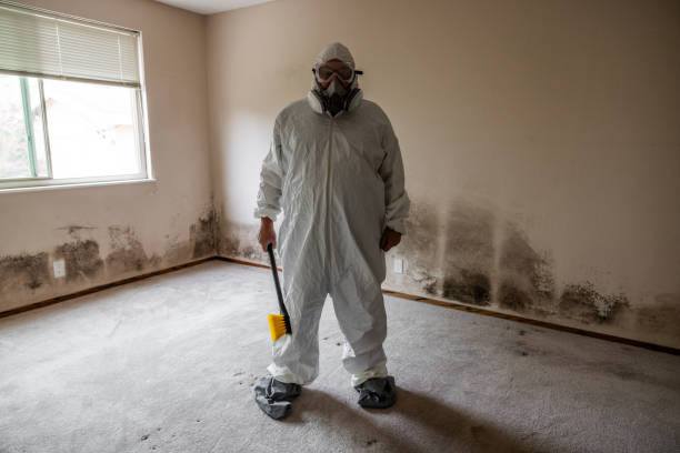 Best Mold Damage Repair  in Hughson, CA