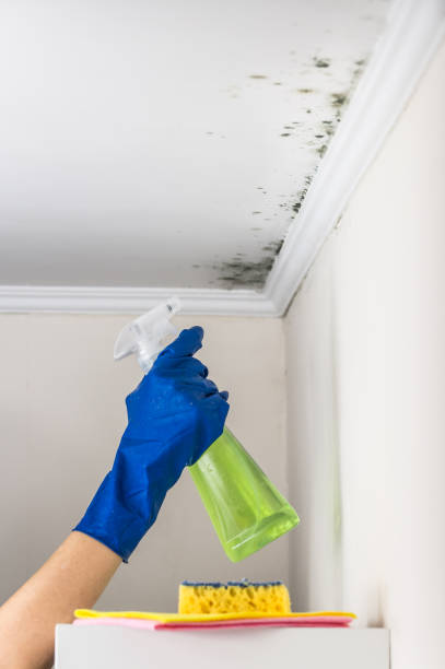 Best Mold Removal Near Me  in Hughson, CA