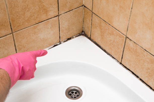 Best Mold Removal Specialists  in Hughson, CA